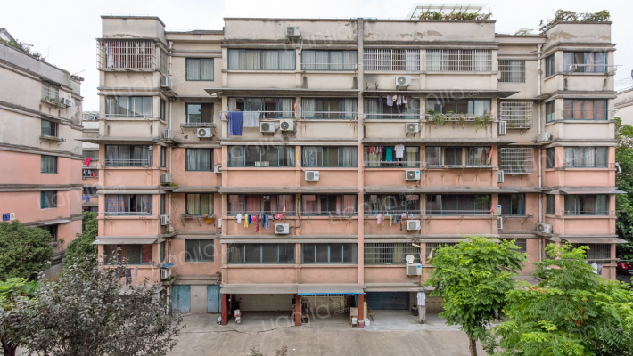 泗龙苑小区外景图