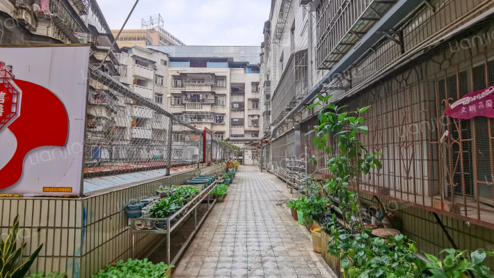 平等商厦外景图