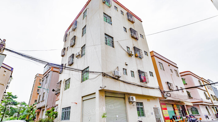 同乐大街住宅外景图