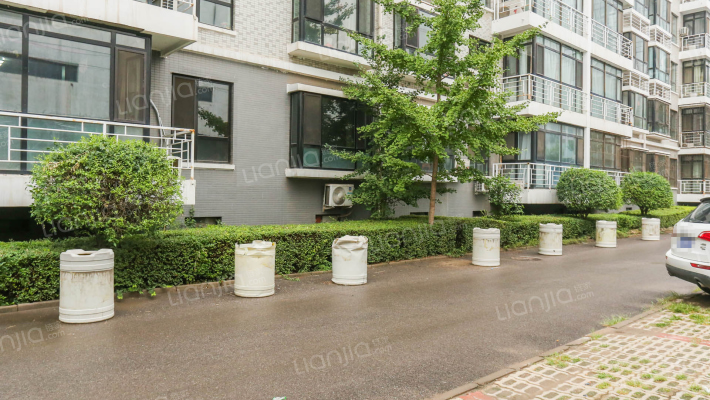 阳光地带外景图