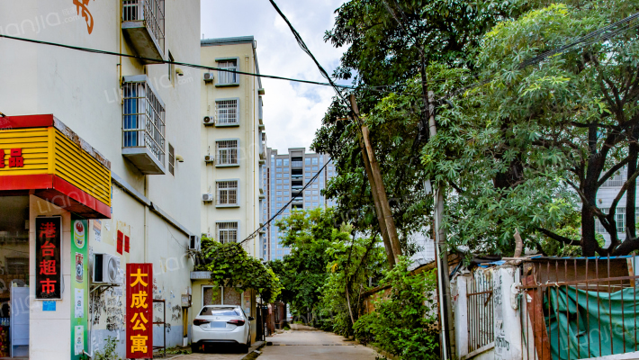 大成公寓外景图