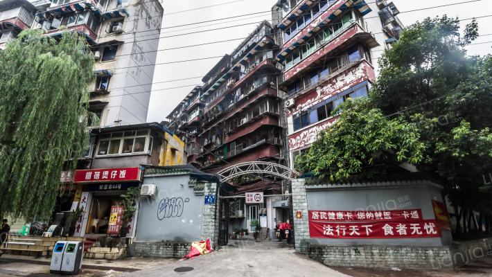 树蓓街42号外景图