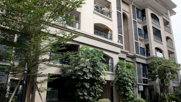 碧桂园东湖1号外景图