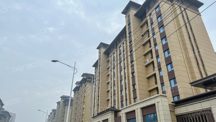 春华金凤壹号外景图