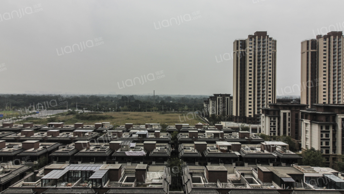 金科天宸A区外景图