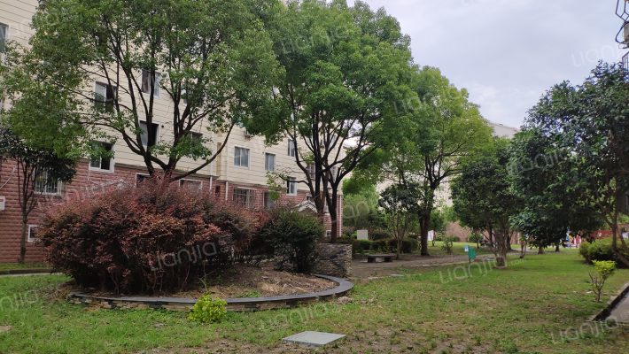 陈湾小区外景图