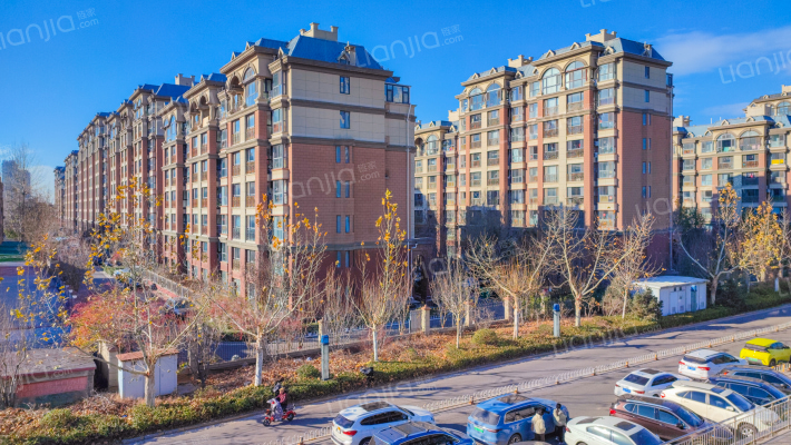 九里香堤外景图