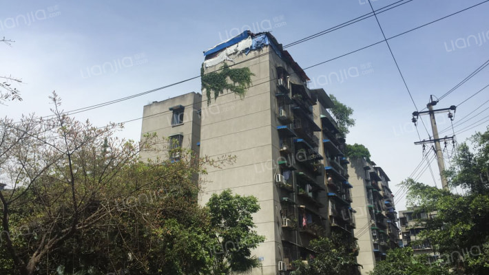 星河路社区外景图