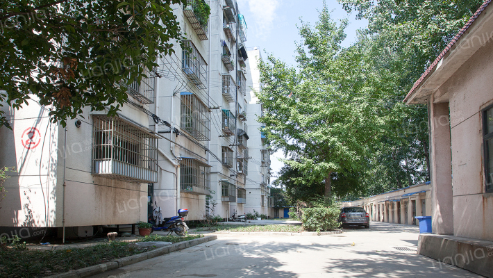 中牌楼东100-1号外景图