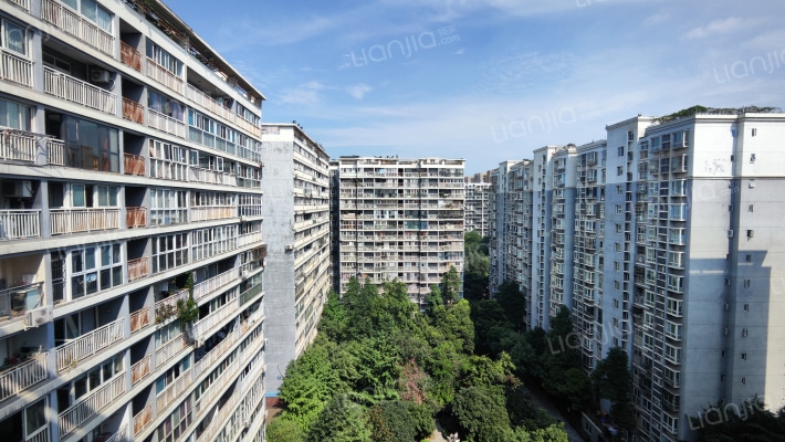 鸿运之星外景图