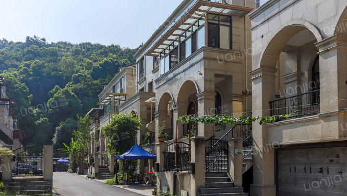 蓝天·玫瑰园外景图