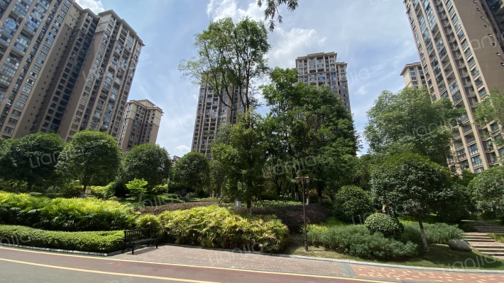 喜悦美麓外景图