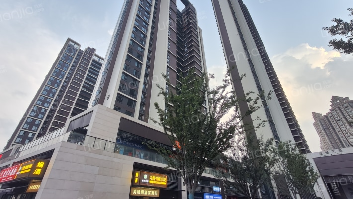 龙湖天玺外景图