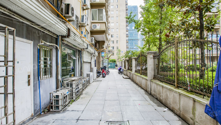 安阳路七百七十四号外景图