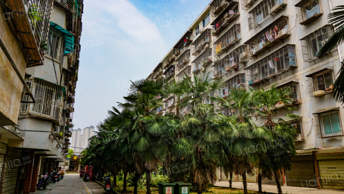 洪房园艺小区外景图