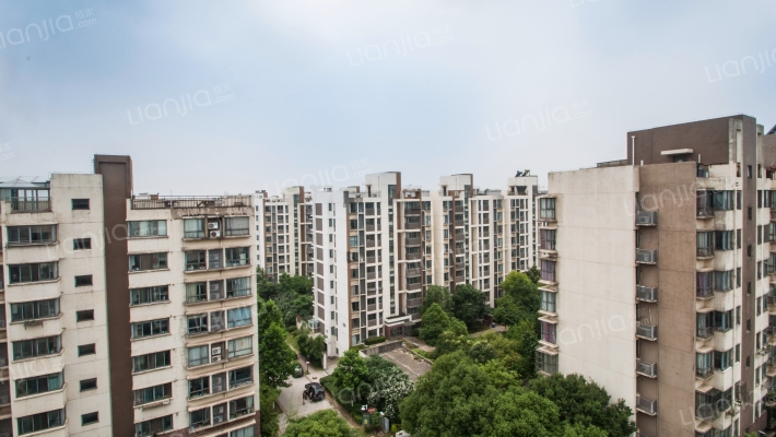 万达紫金明珠外景图