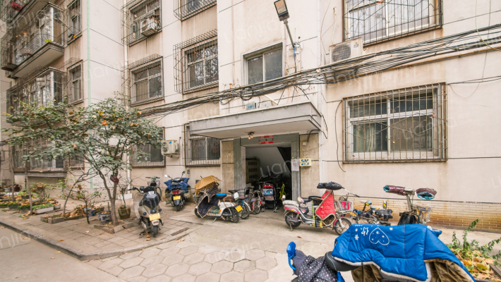 金水路105号附2号外景图