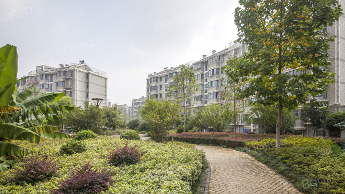 双赢花园外景图