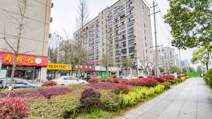 花漾年华外景图