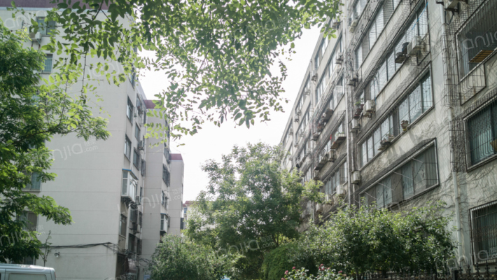 豫剧一团家属院外景图