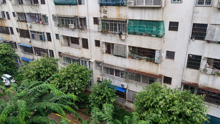 金牛新村外景图