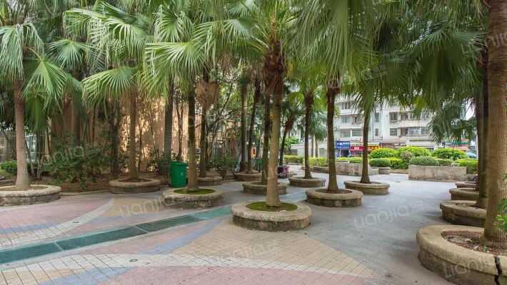 华星雅苑外景图