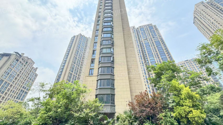 鲁能星城外滩外景图