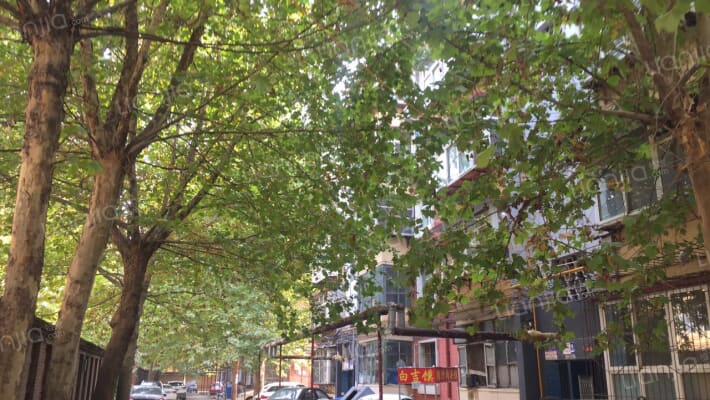 庄窠小区外景图