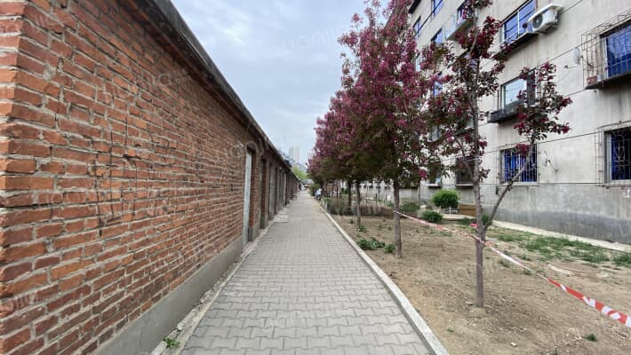 八家子村外景图