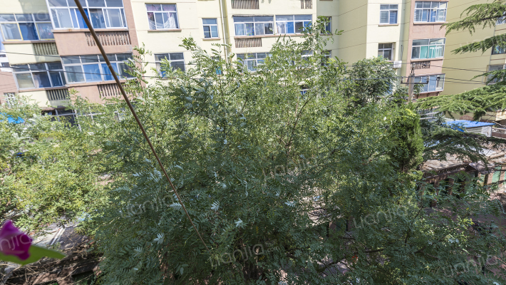 中和园东区外景图