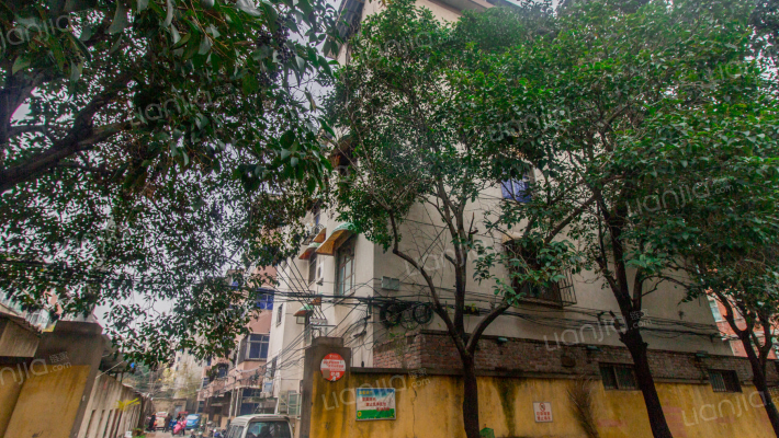 县政府家属院外景图