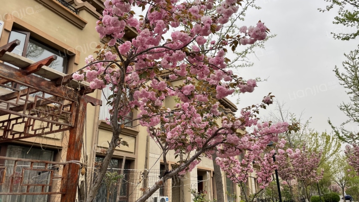 世茂萨拉曼卡一期外景图