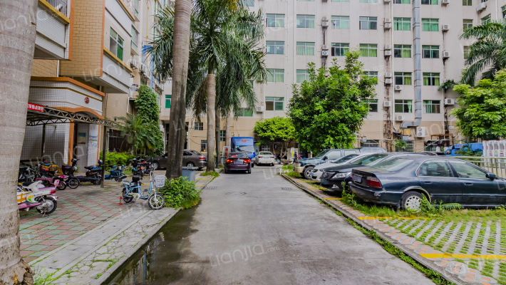 春景花园外景图