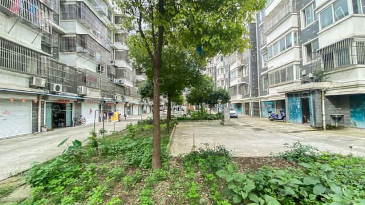 临江西苑外景图