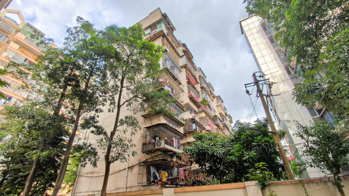 闽乐新村外景图