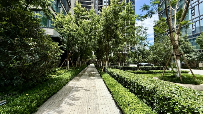 中南云境外景图