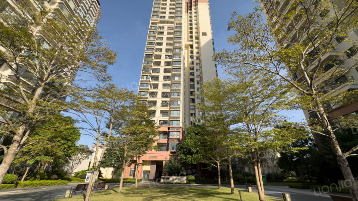 五象大唐果外景图