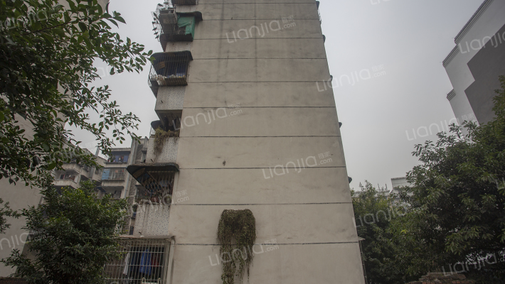 双北街社区外景图