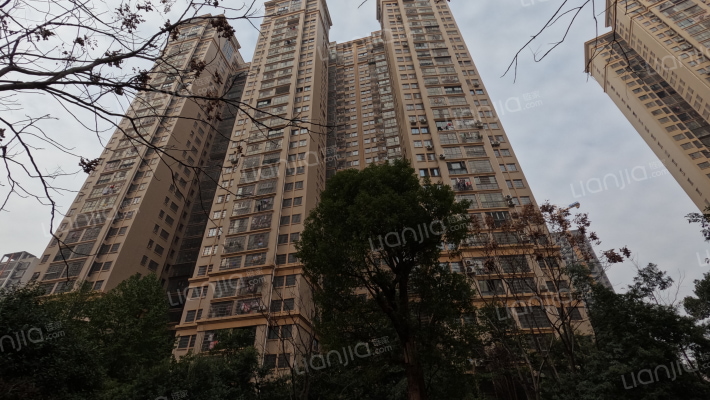 佳美紫郡外景图