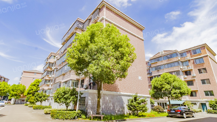 红叶一家园外景图