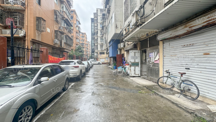 罗阳大道700弄外景图