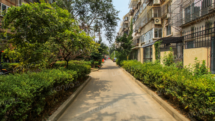 解放新村外景图