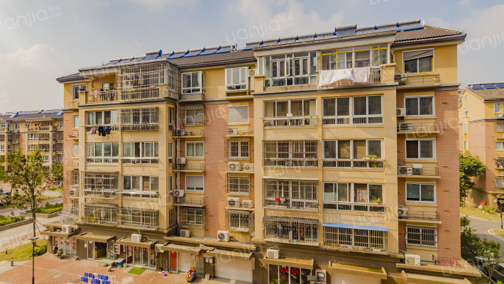 荷花嘉苑外景图