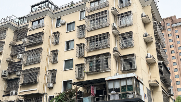 横街中园外景图