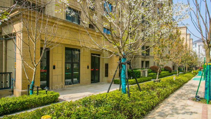 滨江御园外景图