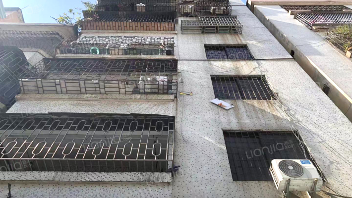 南海大沥永昌楼外景图