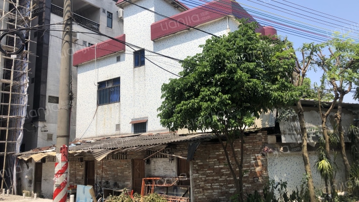 新翼银座外景图