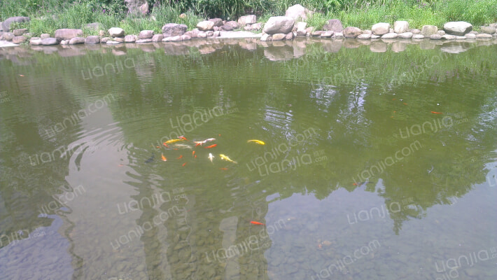 海上海新城(办公楼)外景图