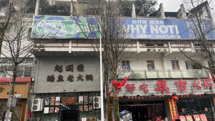 梧桐苑(杜鹃巷)外景图