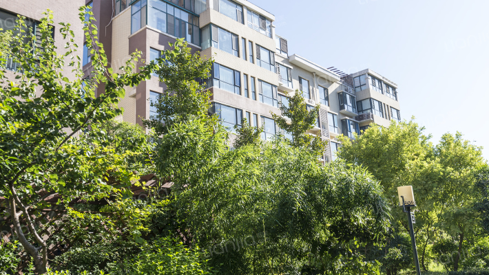 锦绣樱园外景图